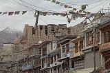 1210_Leh_palace