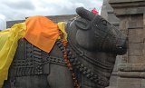 2434_nandi