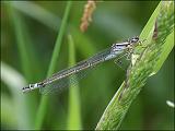 2007-05-13_Maanwaterjuffer_vr_-_Oudemolen