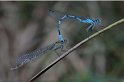 100606_8_watersnuffel_tandem_taarloo_900