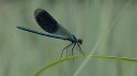 100626_14_weidebeek_oudemolen_900