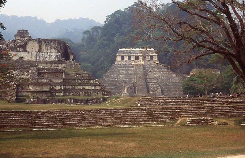 80_Palenque.jpg