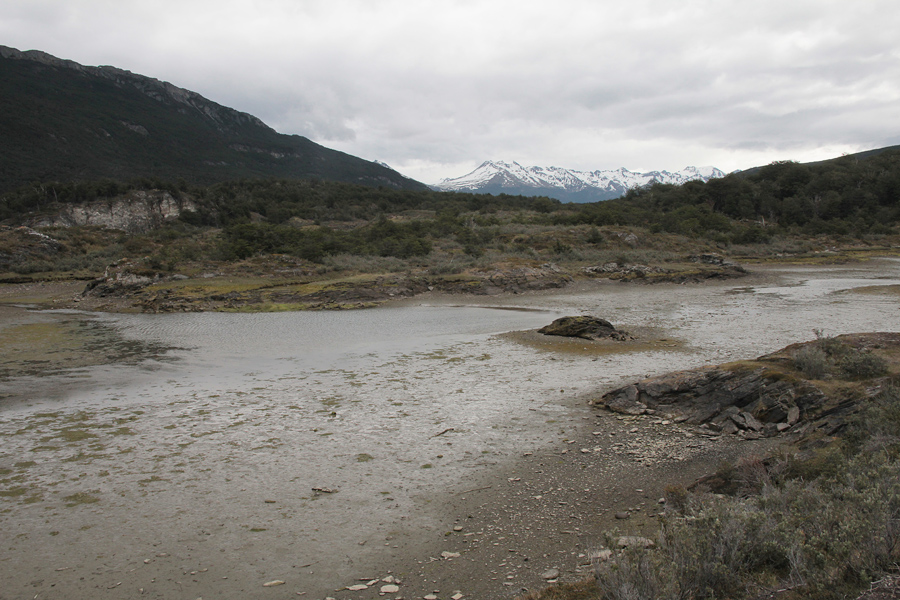 07222.jpg - Tierra del Fuego National Park