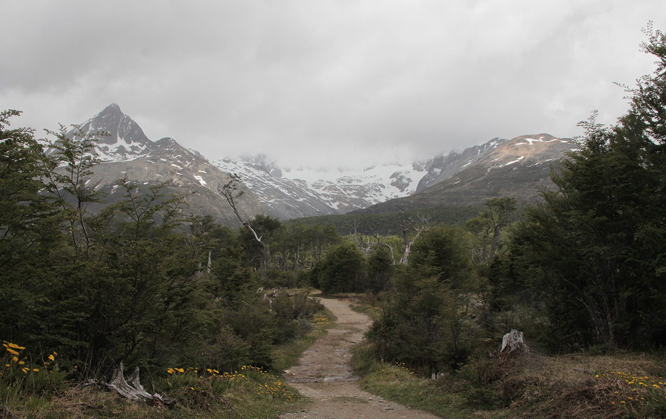 07336_bergwandeling.jpg - On Tierra del Fuego, near Ushuaia