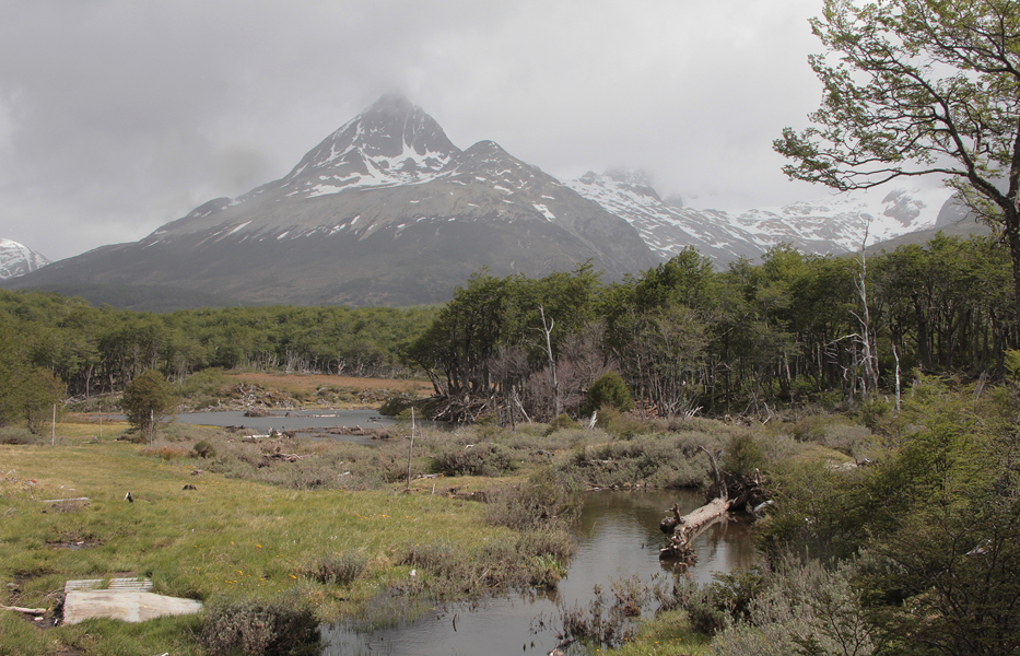 07339_tierra_del_fuego.jpg - On Tierra del Fuego, near Ushuaia
