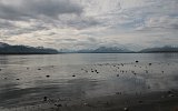 07947_puerto_natales