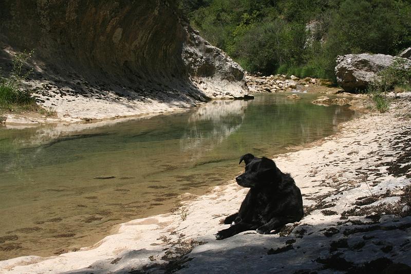 Img_3733_Rio_Viejo.jpg