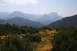 Img_3090