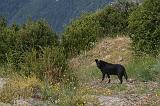 Img_3117_Venga