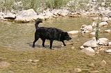 Img_3290_Venga