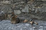 Img_3379_Ainsa