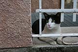Img_3380_Ainsa