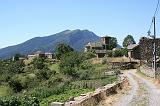 Img_3707_Vio