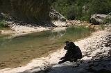 Img_3733_Rio_Viejo