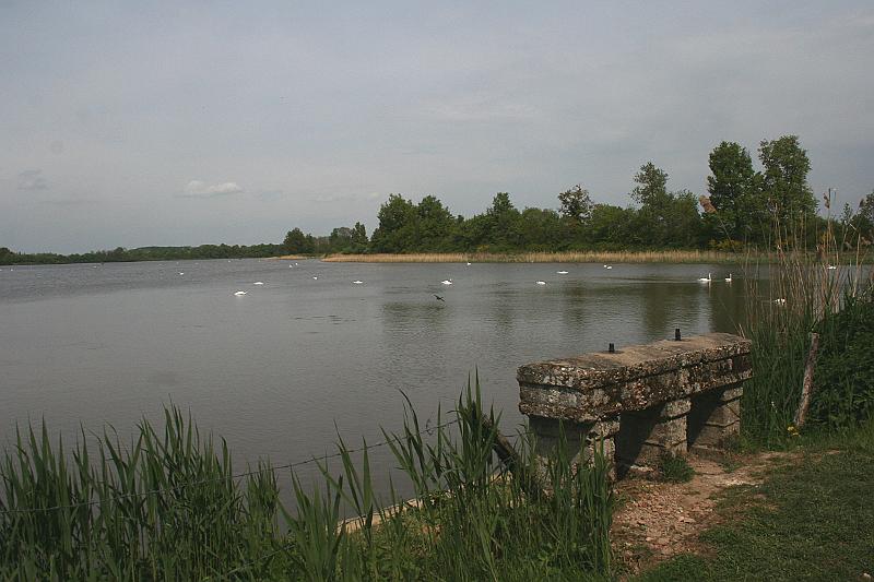 02_IMG_7182.JPG - Les Dombes, een vogelrijk merengebied