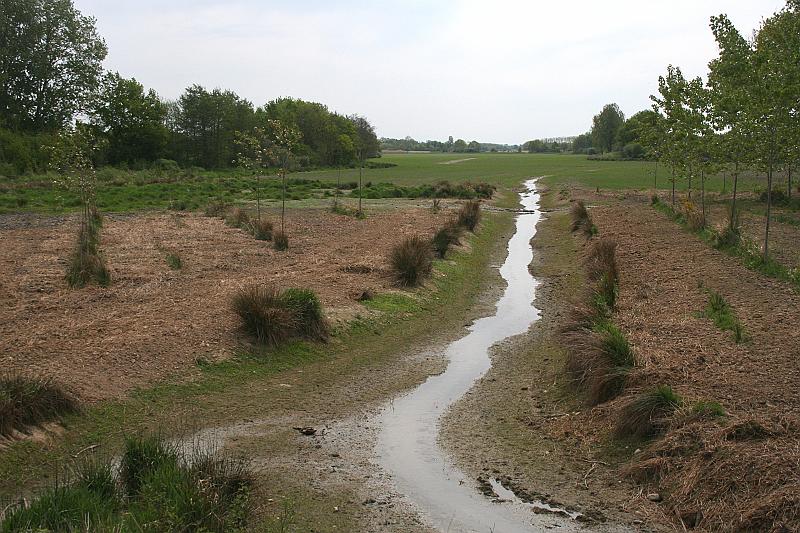 05_IMG_7181.JPG - Les Dombes, een ontwateringsgeul