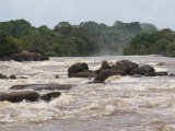 Wonotobo
