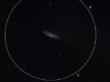 NGC 2784 (Hya) 14" - 200x