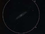 NGC 3953 (UMa) 14" - 100x